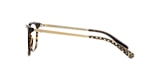 HC6124