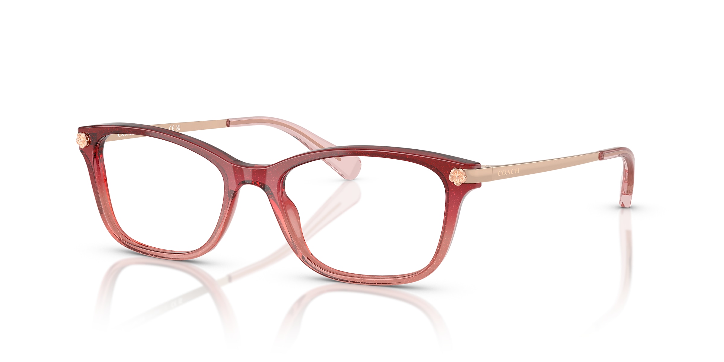 Coach Glasses HC6142