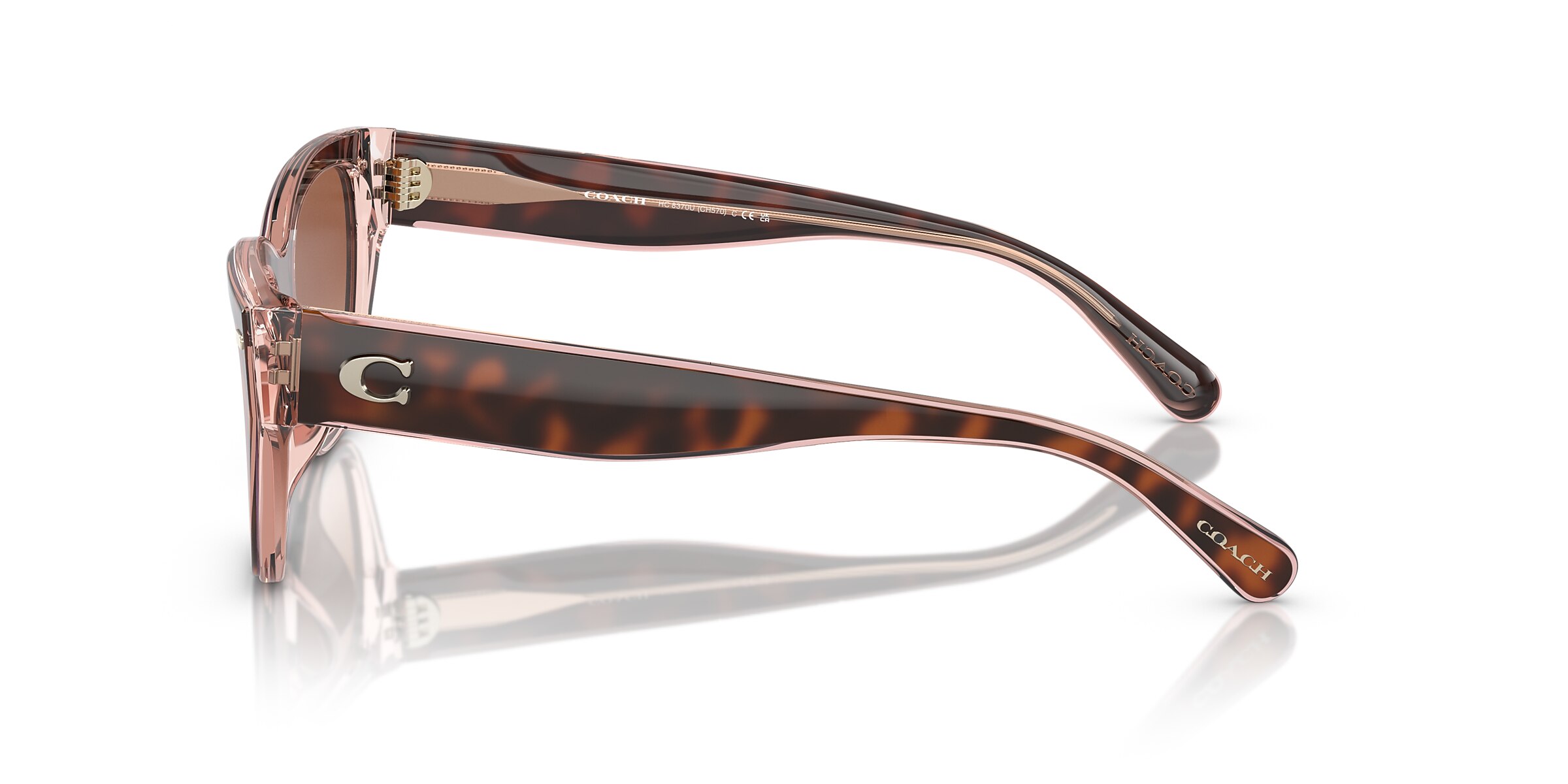 Coach Sunglasses HC8370U CH570