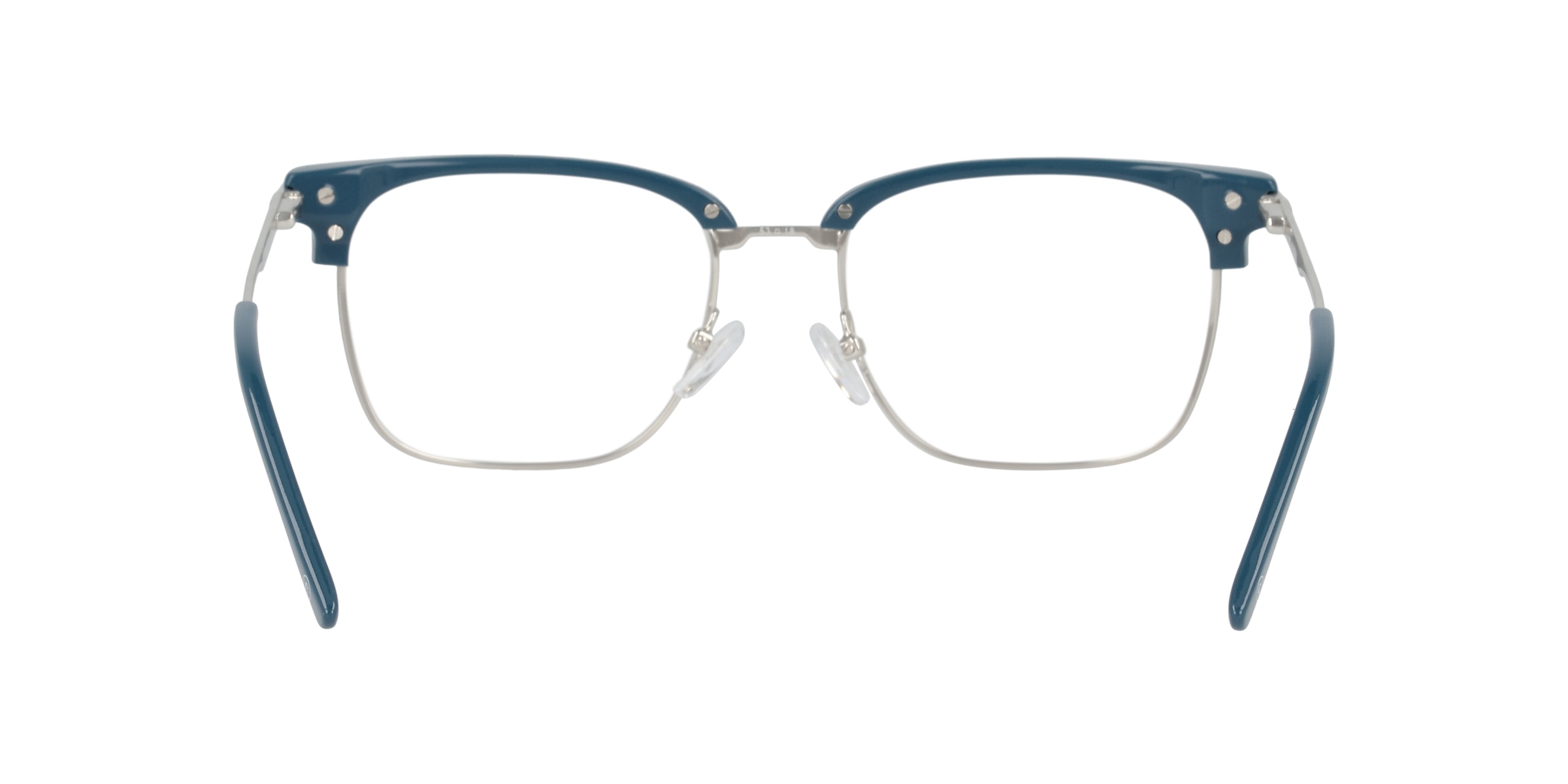 Clearly Glasses CACTUS