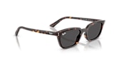 RB4456 ZAYA BIO-BASED