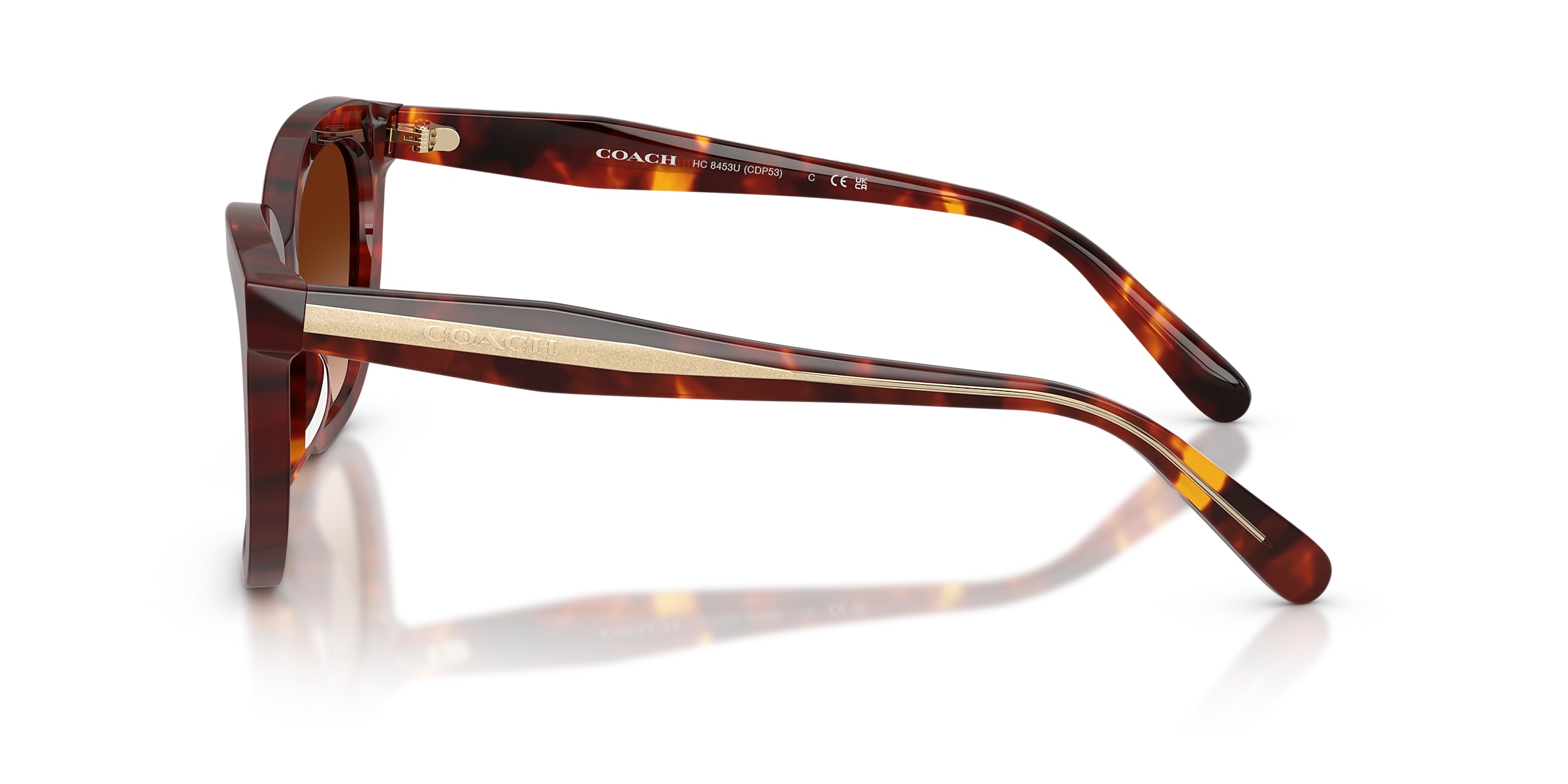 Coach Sunglasses HC8453U CDP53