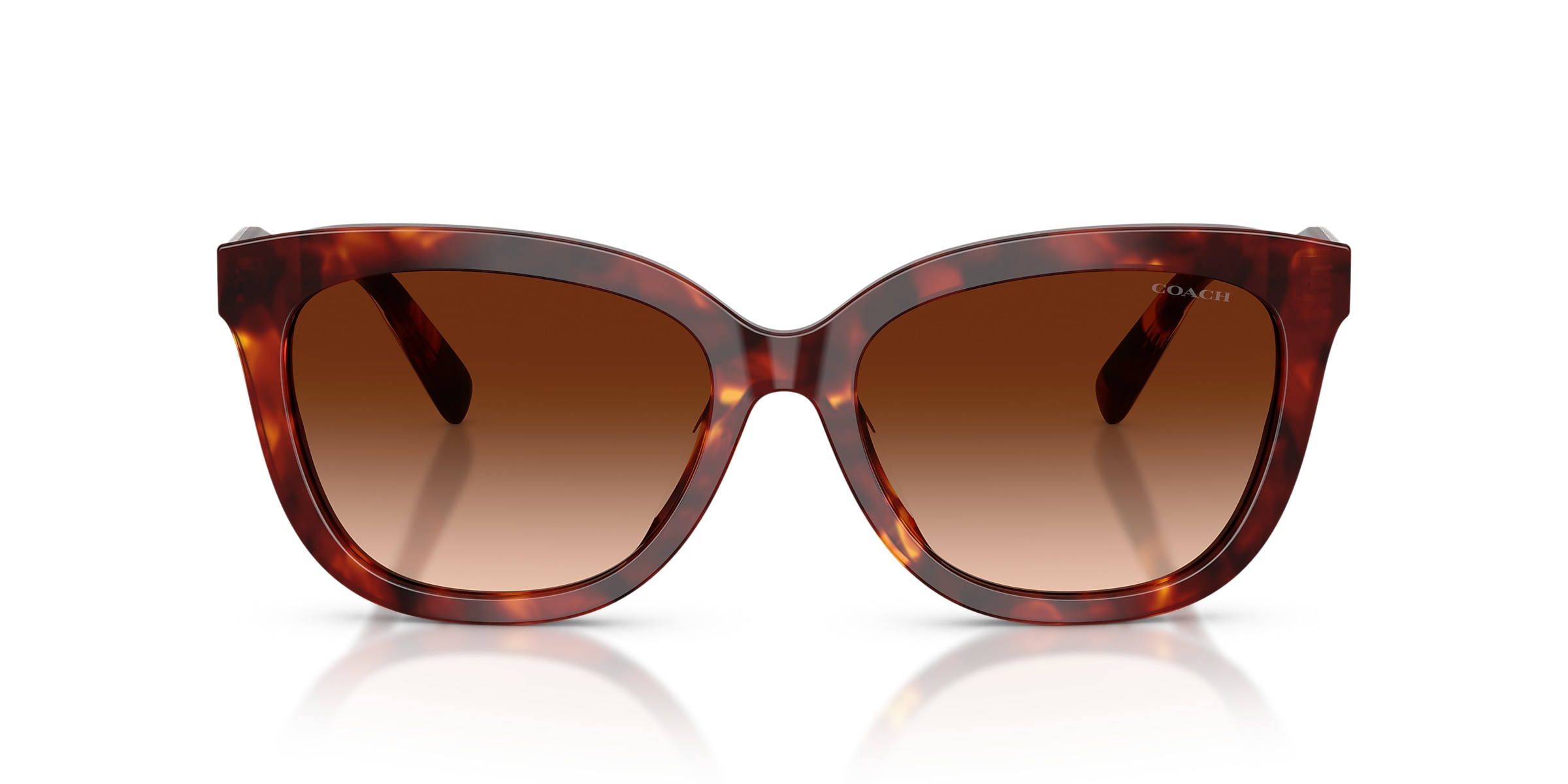 Coach Sunglasses HC8453U CDP53