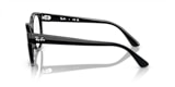 RB7227 OPTICS