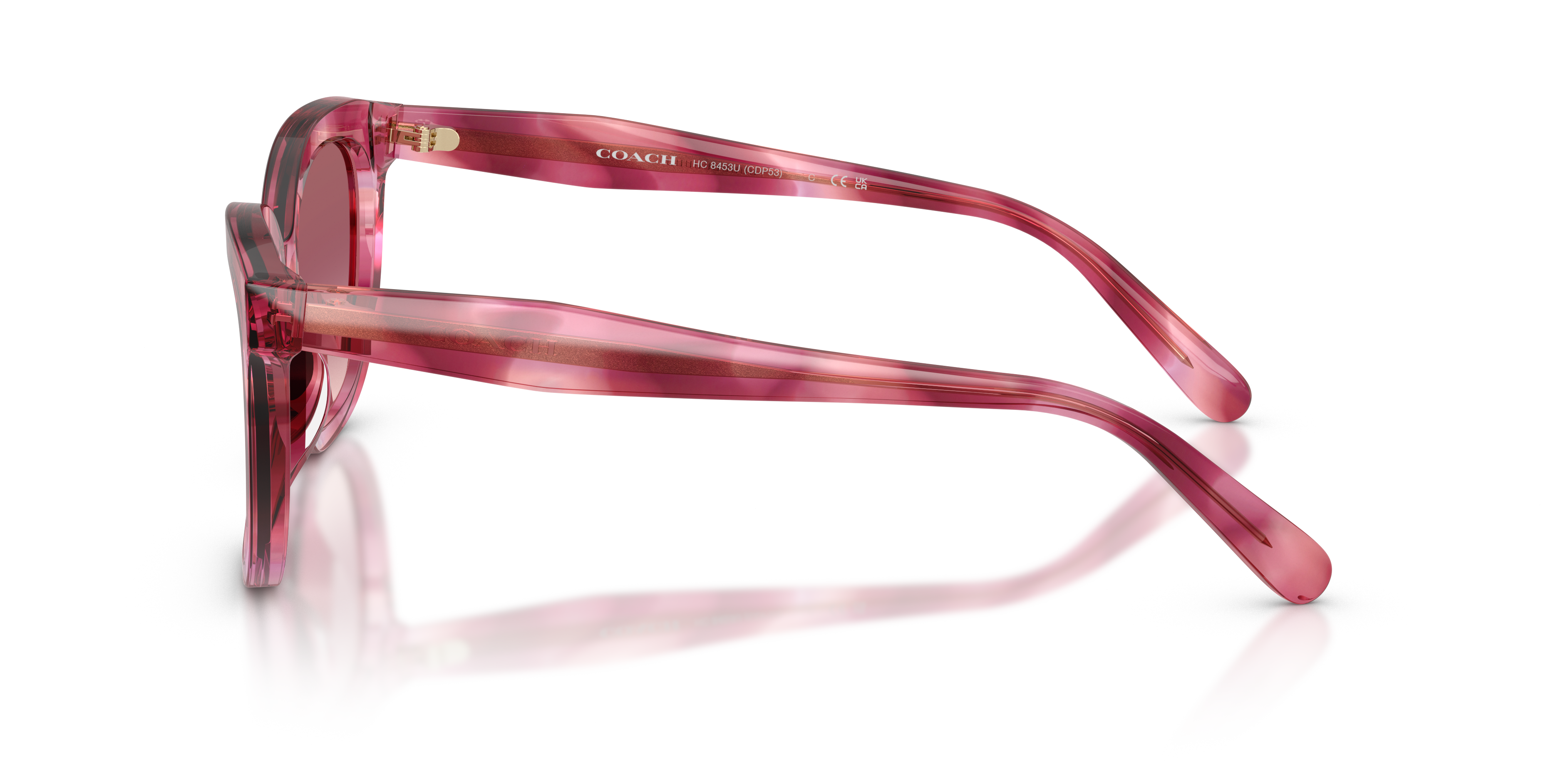 Coach Sunglasses HC8453U CDP53
