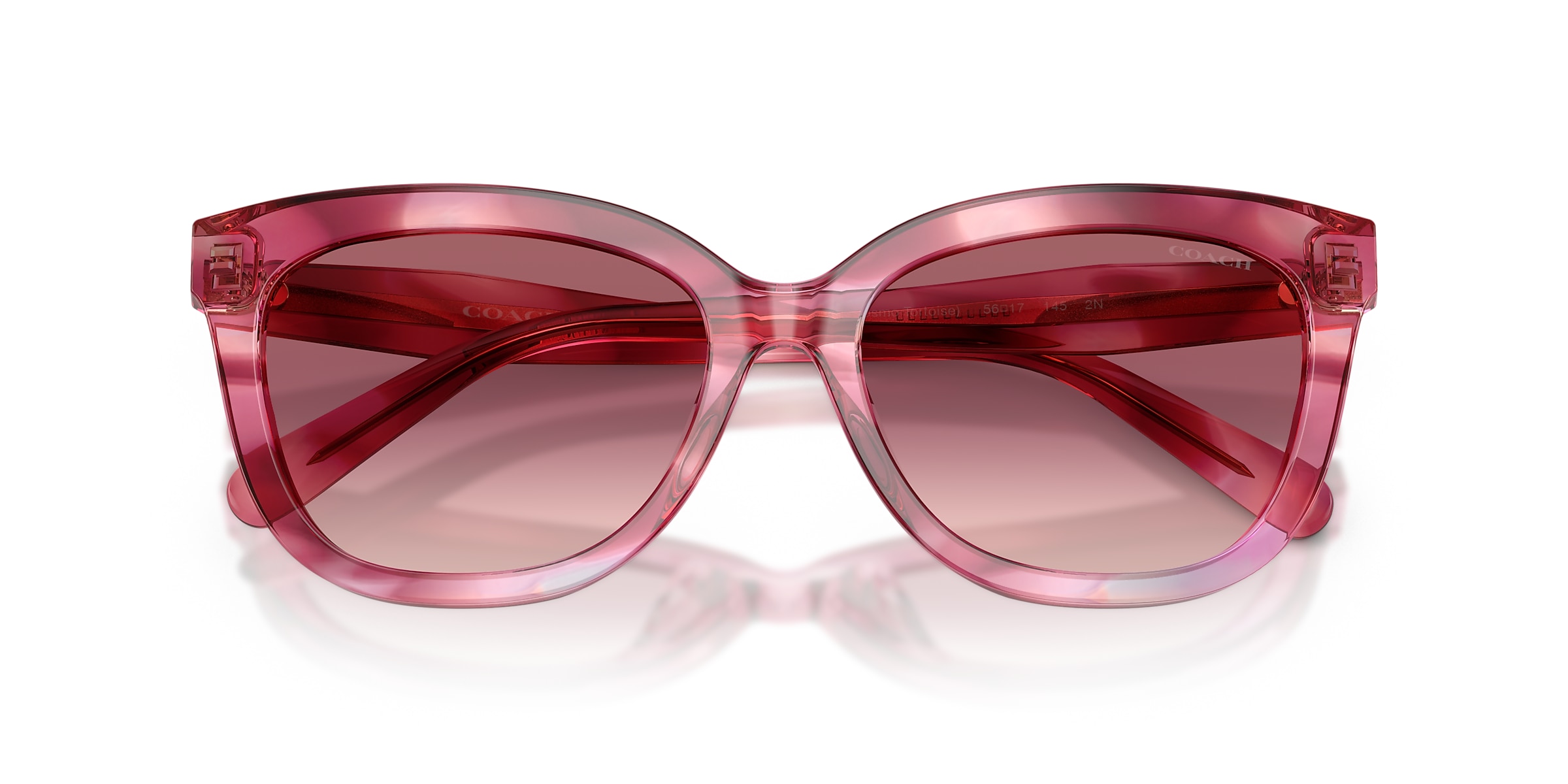 Coach Sunglasses HC8453U CDP53