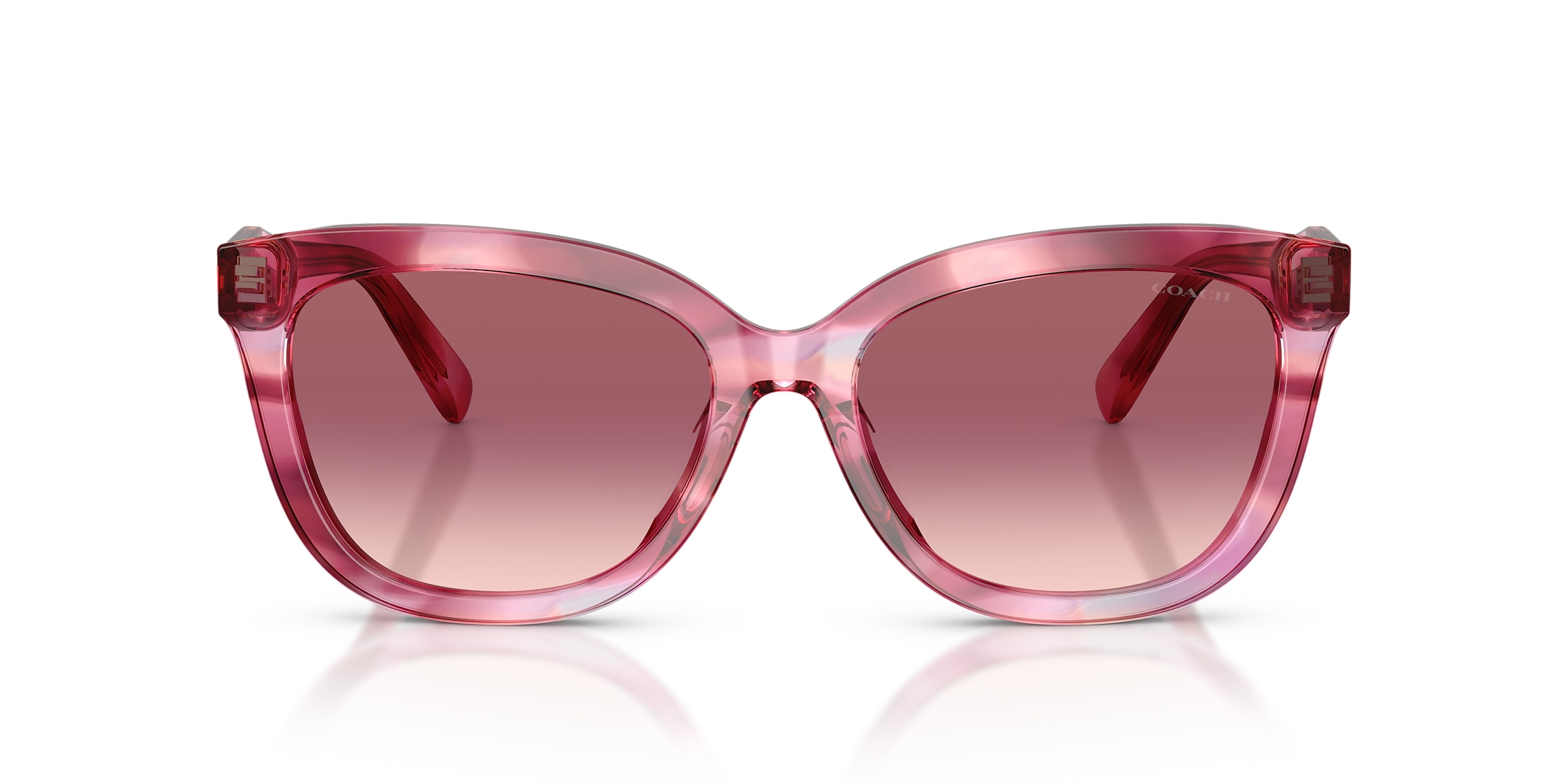 Coach Sunglasses HC8453U CDP53