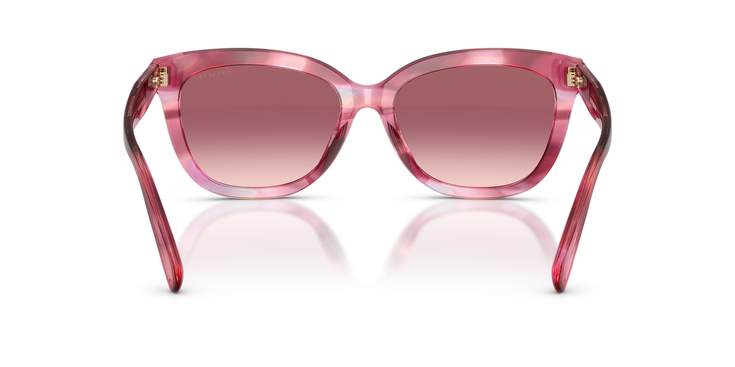 Coach Sunglasses HC8453U CDP53