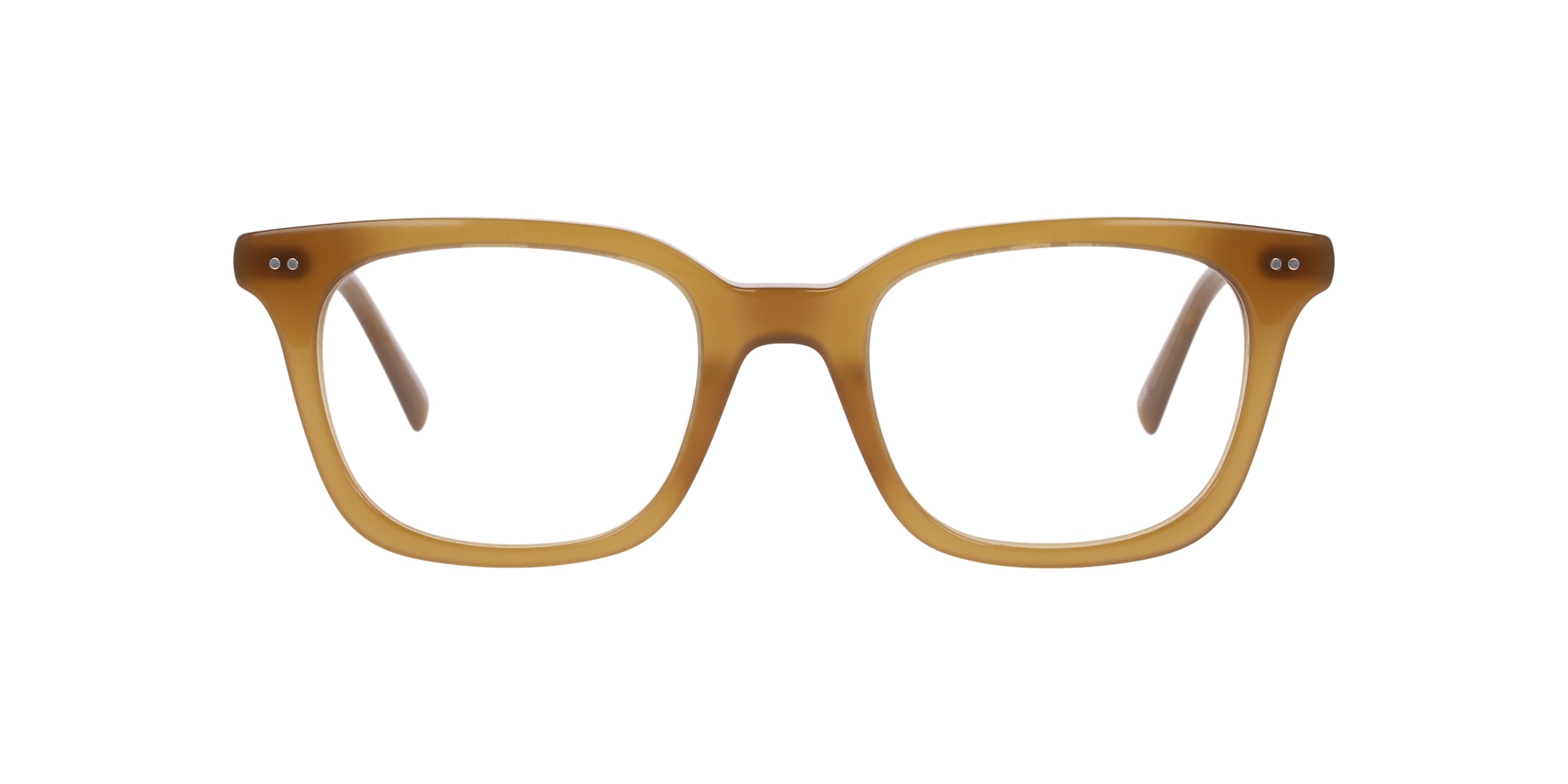 Clearly Glasses TEAGAN