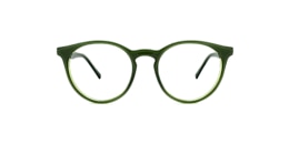 clearly Glasses owl