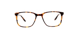 clearly Glasses comeau