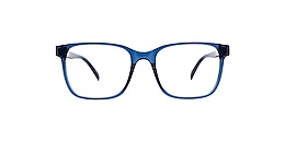 reincarnate Glasses albatross