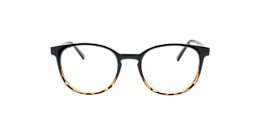clearly Glasses cordia