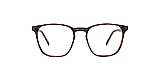 Reincarnate Glasses PITTA