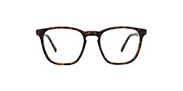 reincarnate Glasses pitta