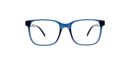 clearly Glasses albatross