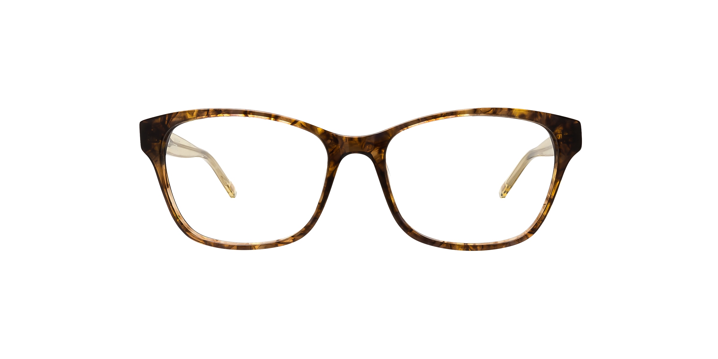 Clearly Glasses PRAHRAN