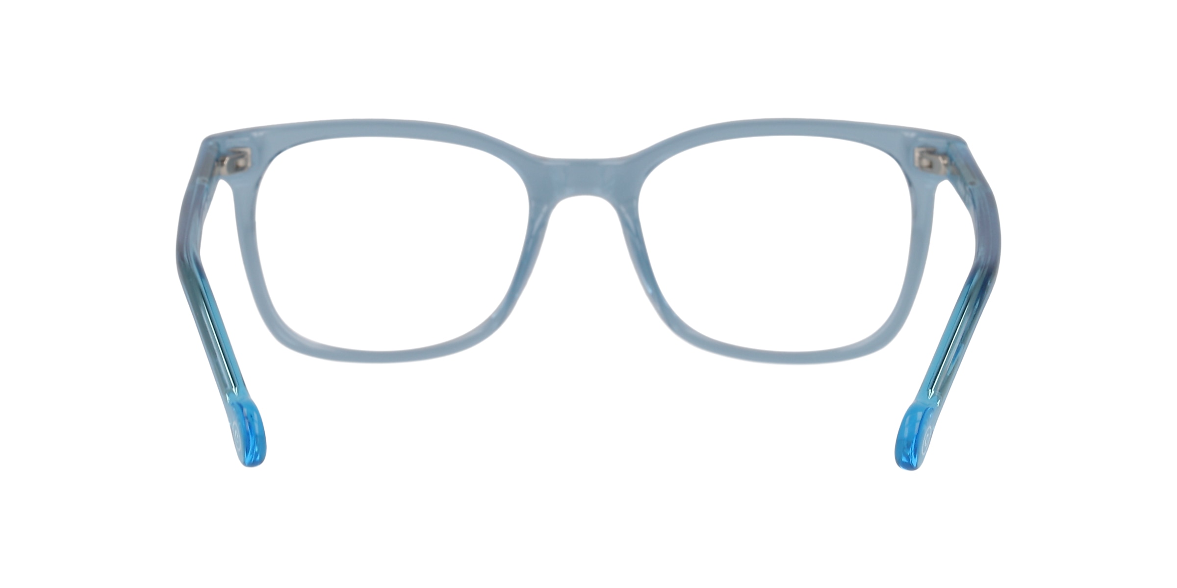 Clearly Glasses LION