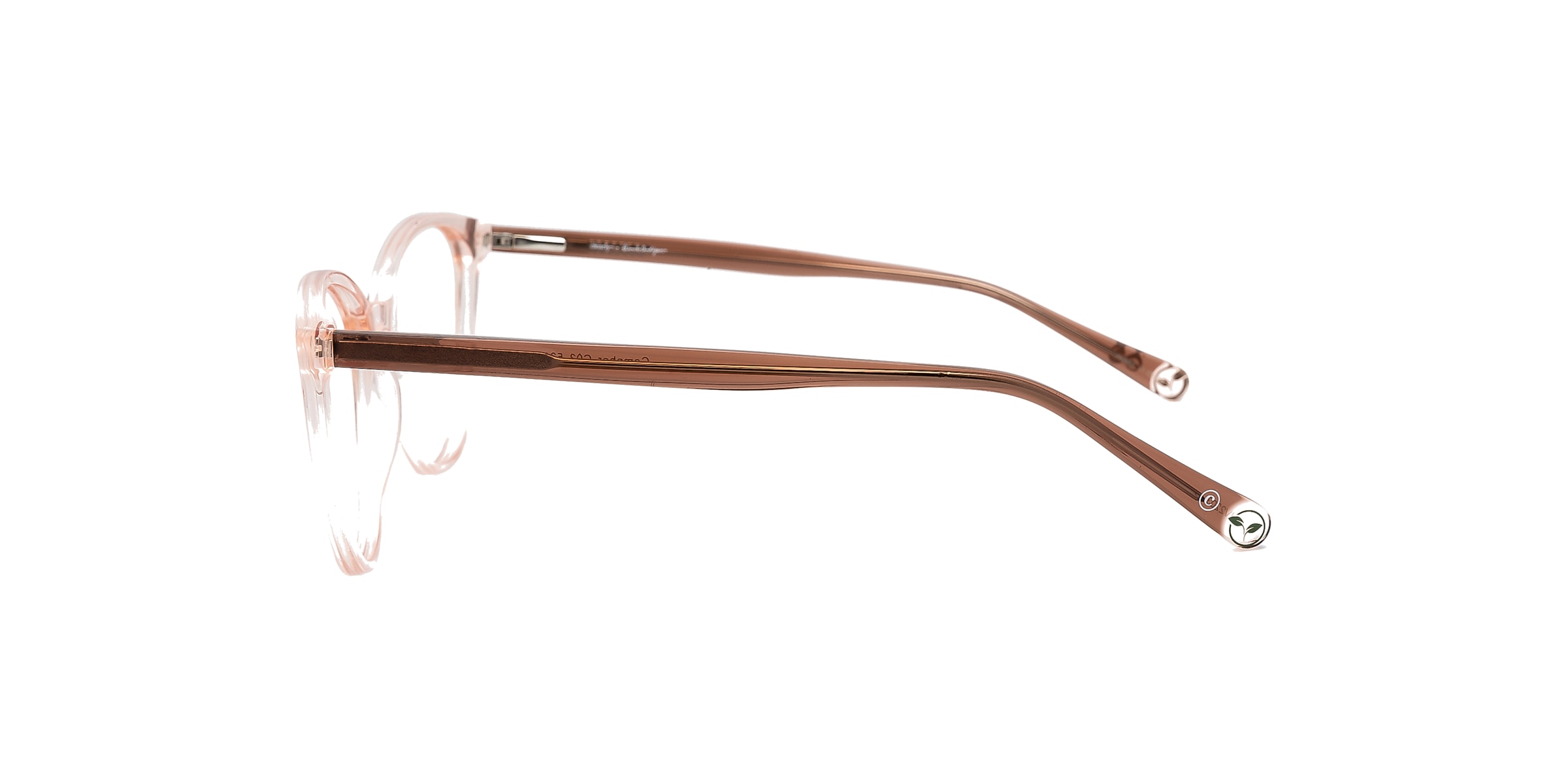 Clearly Glasses CAMPHOR