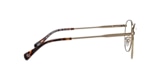 LODGEPOLE