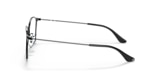 RB6466 OPTICS