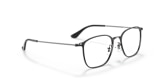 RB6466 OPTICS