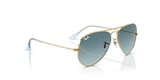 RB3025 AVIATOR GRADIENT