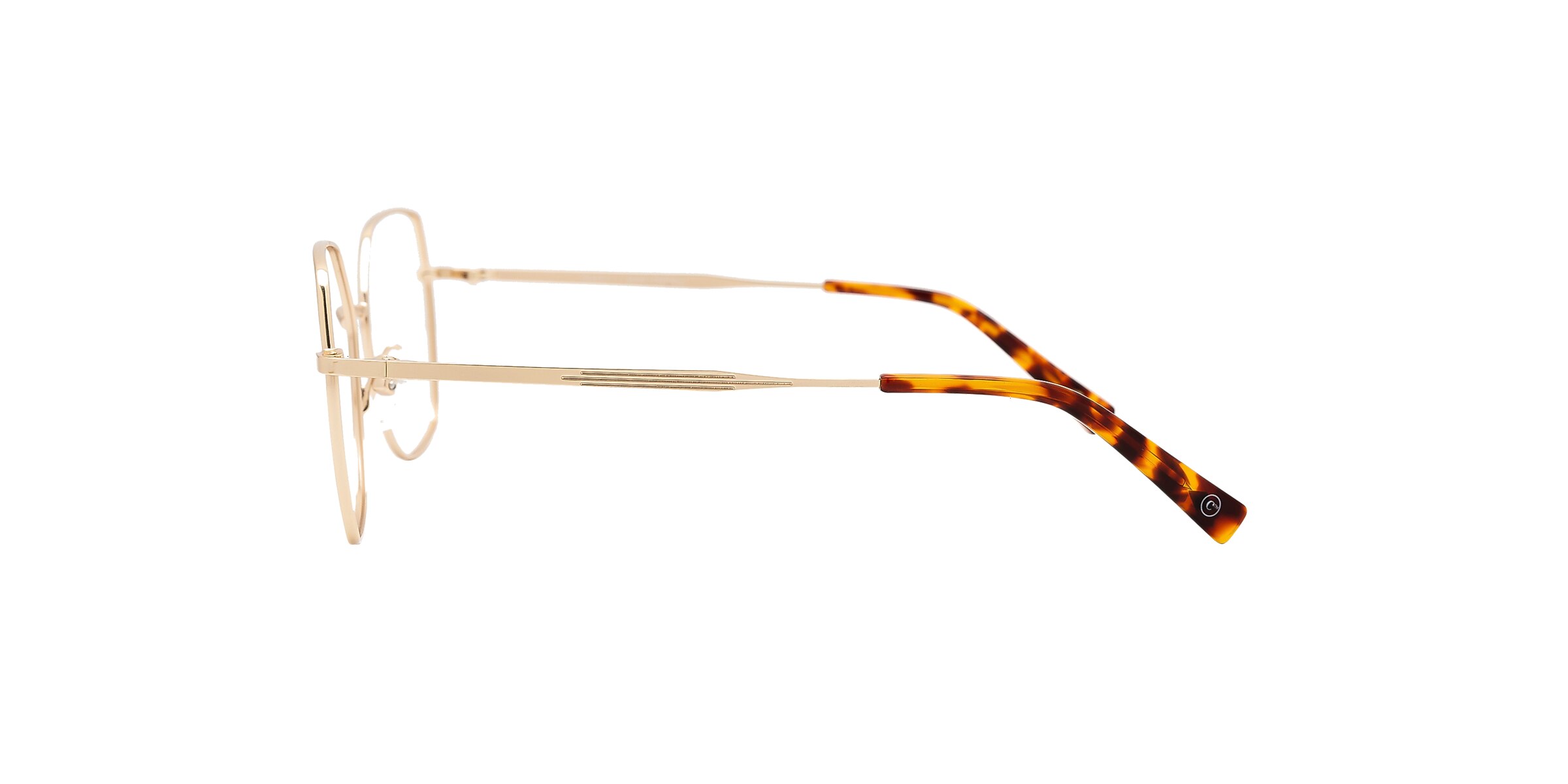 Clearly Glasses HUGHEDEN