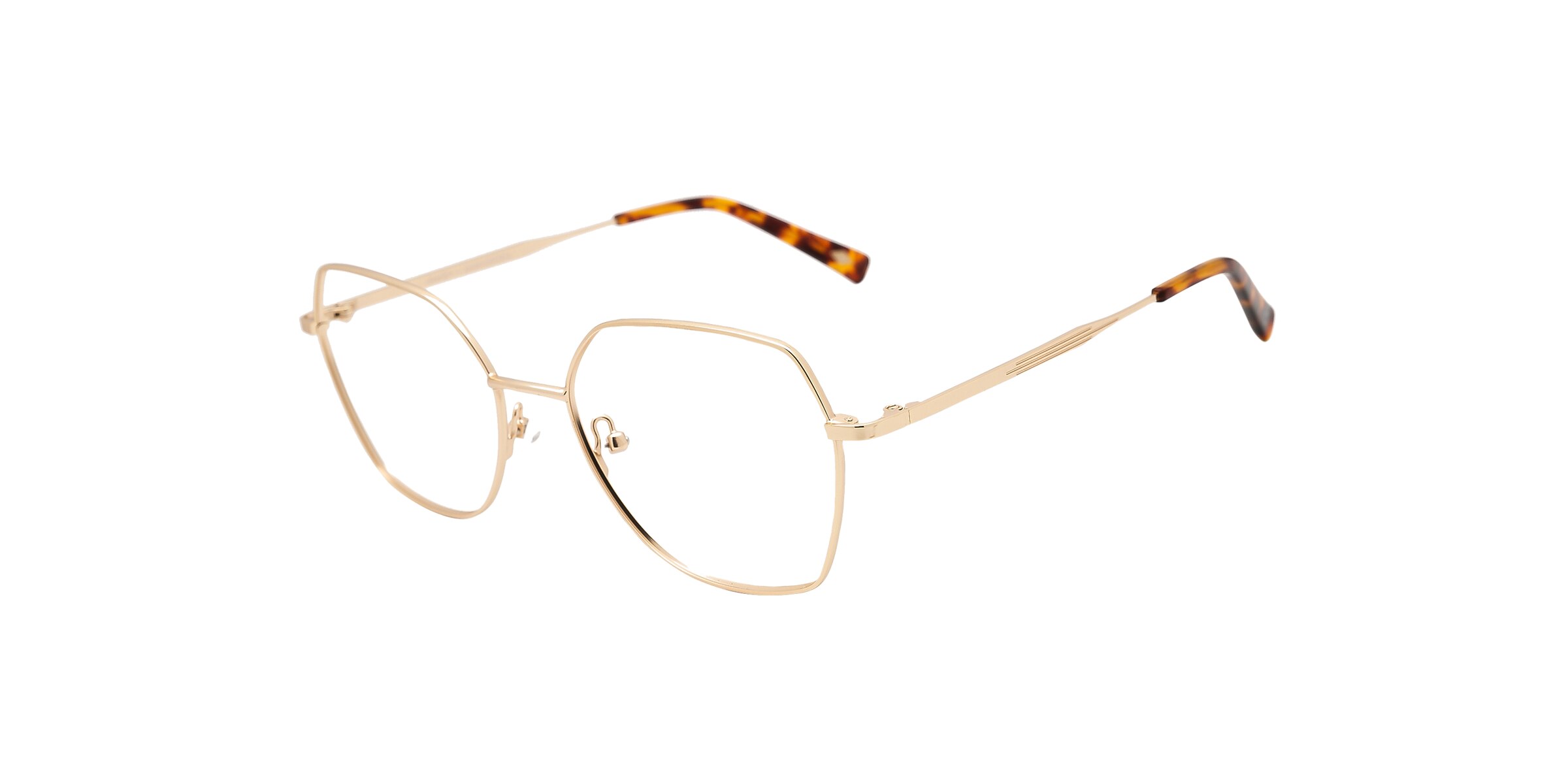 Clearly Glasses HUGHEDEN