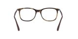 RB7078 OPTICS
