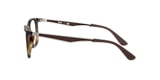 RB7078 OPTICS