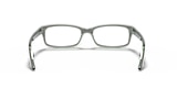 RB5187 OPTICS