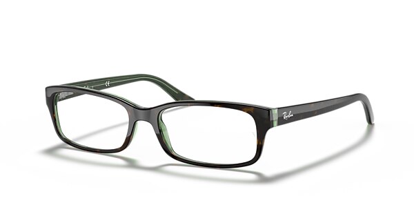 RB5187 OPTICS