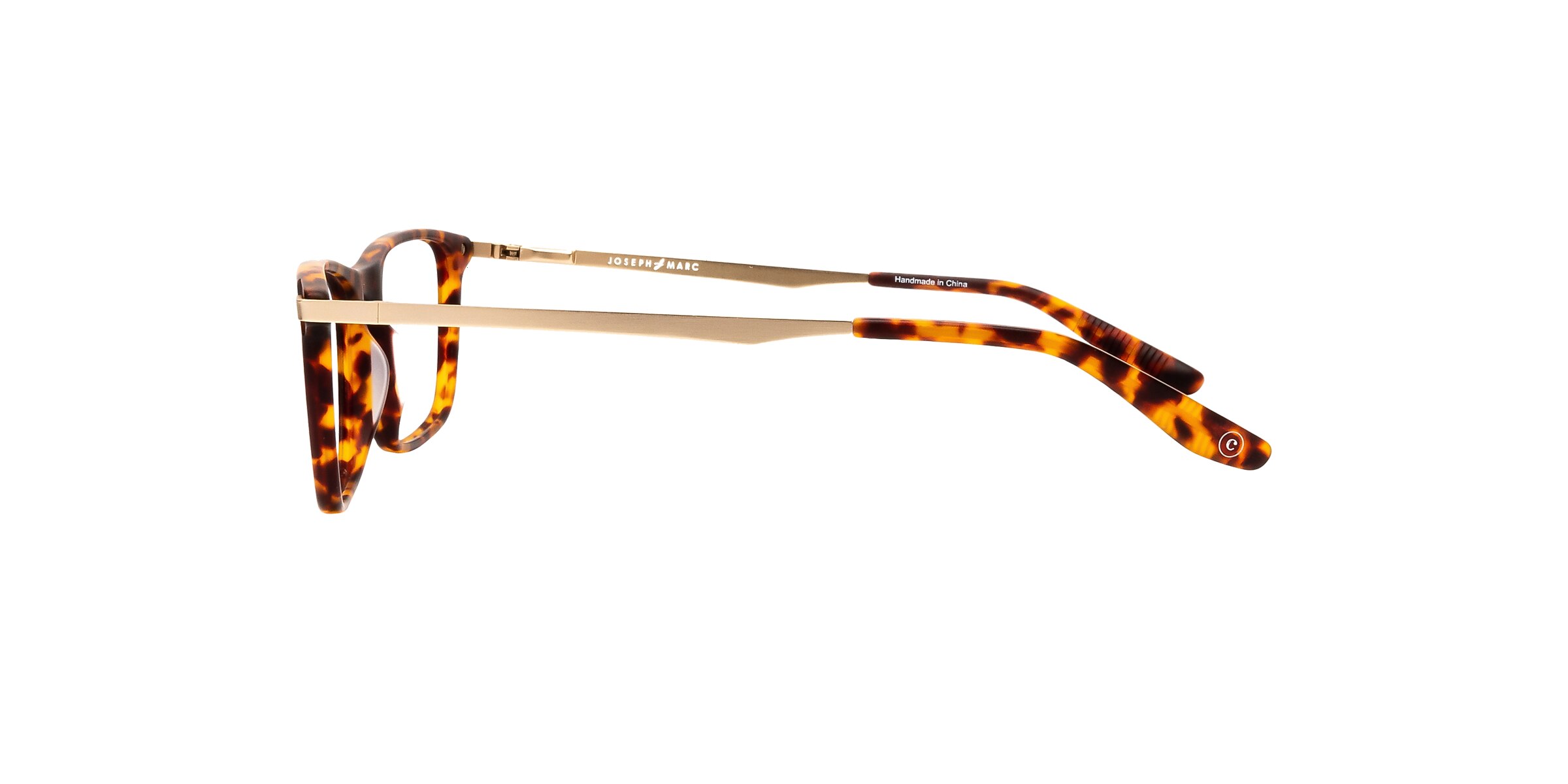 Clearly Glasses DARCY