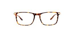 clearly Glasses darcy