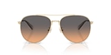 HC7169 CW193