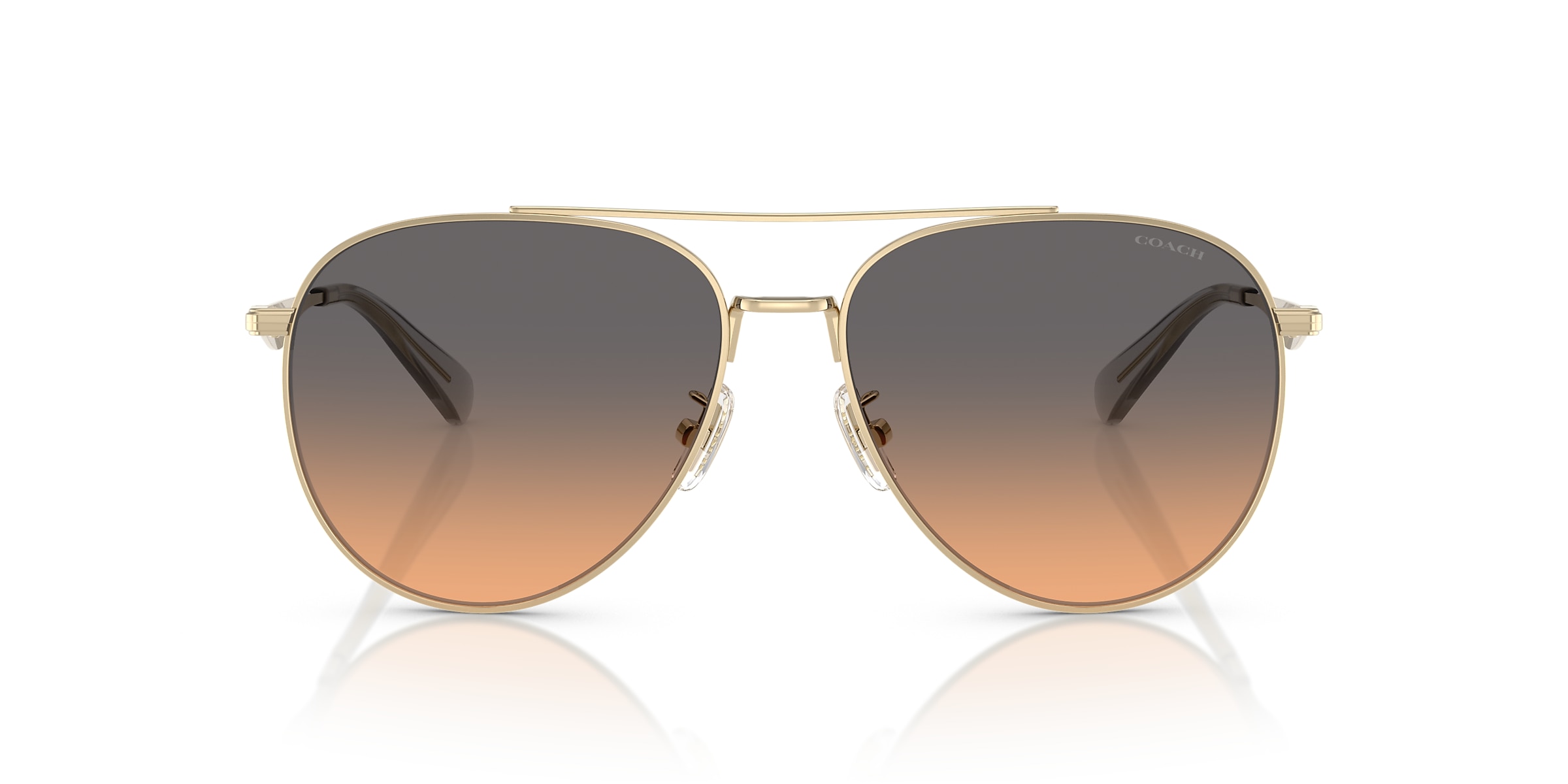 Coach Sunglasses HC7169 CW193