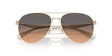 HC7169 CW193