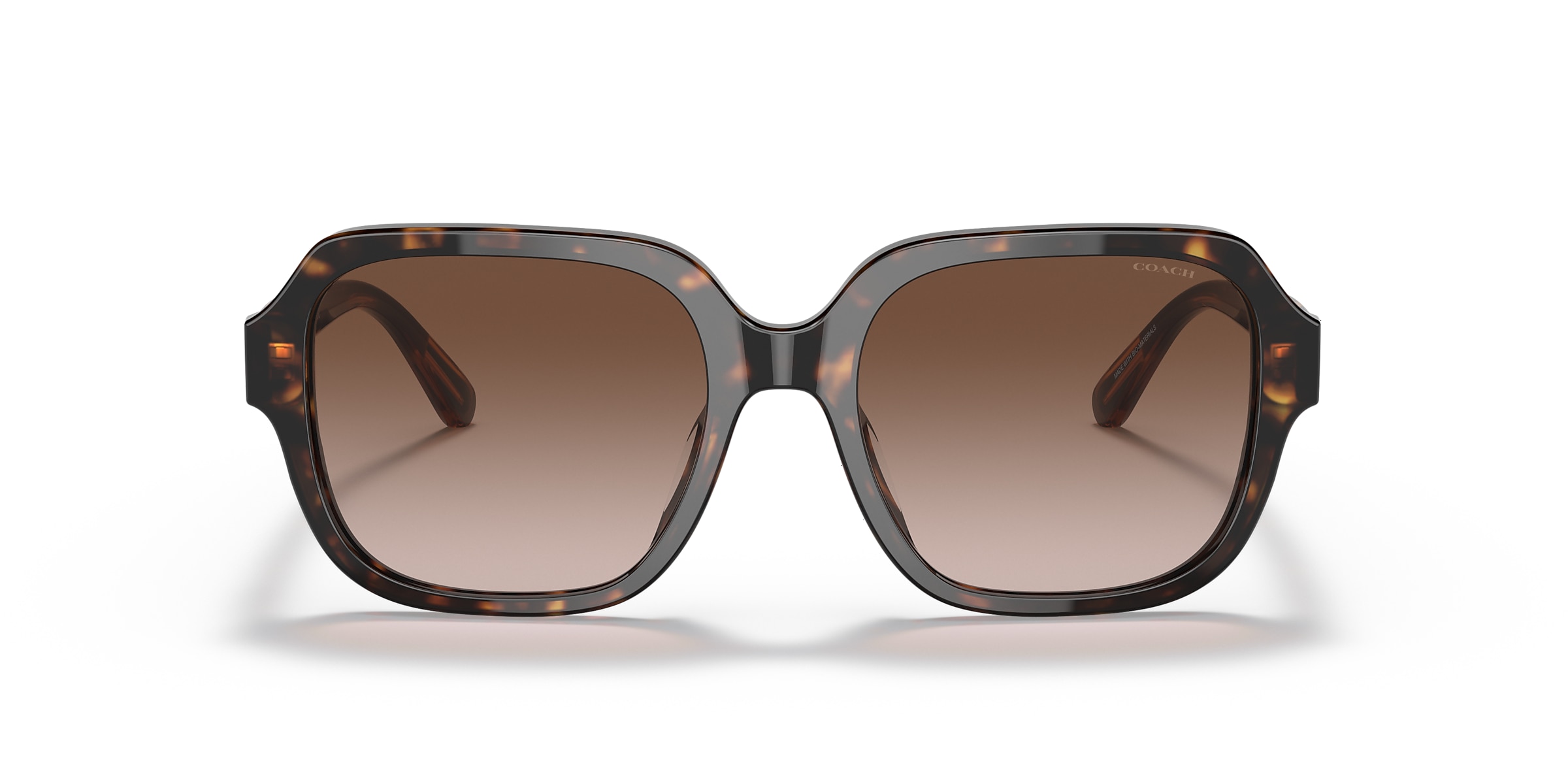 Coach Sunglasses HC8335U C7989