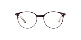 clearly Glasses foal