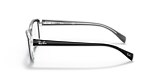 RB5255 OPTICS