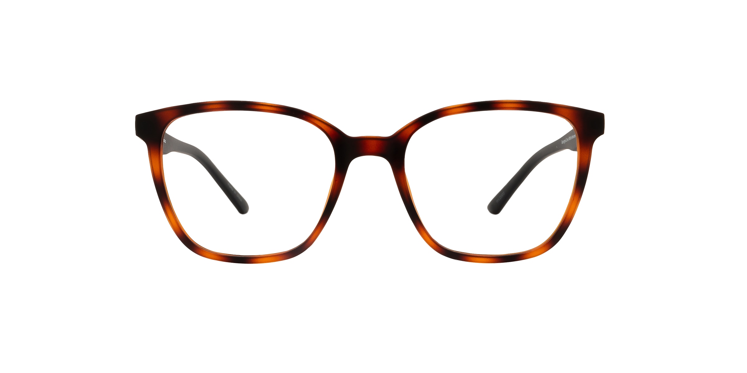 Clearly Glasses GEORGES COVE