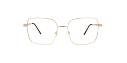 clearly Glasses macklin
