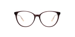 clearly Glasses spruce