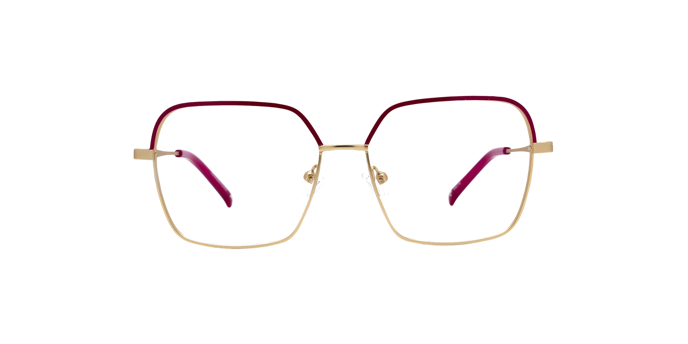 Clearly Glasses ERINOME