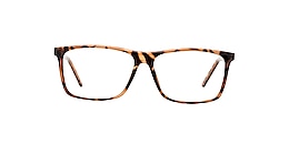 clearly Glasses smithers