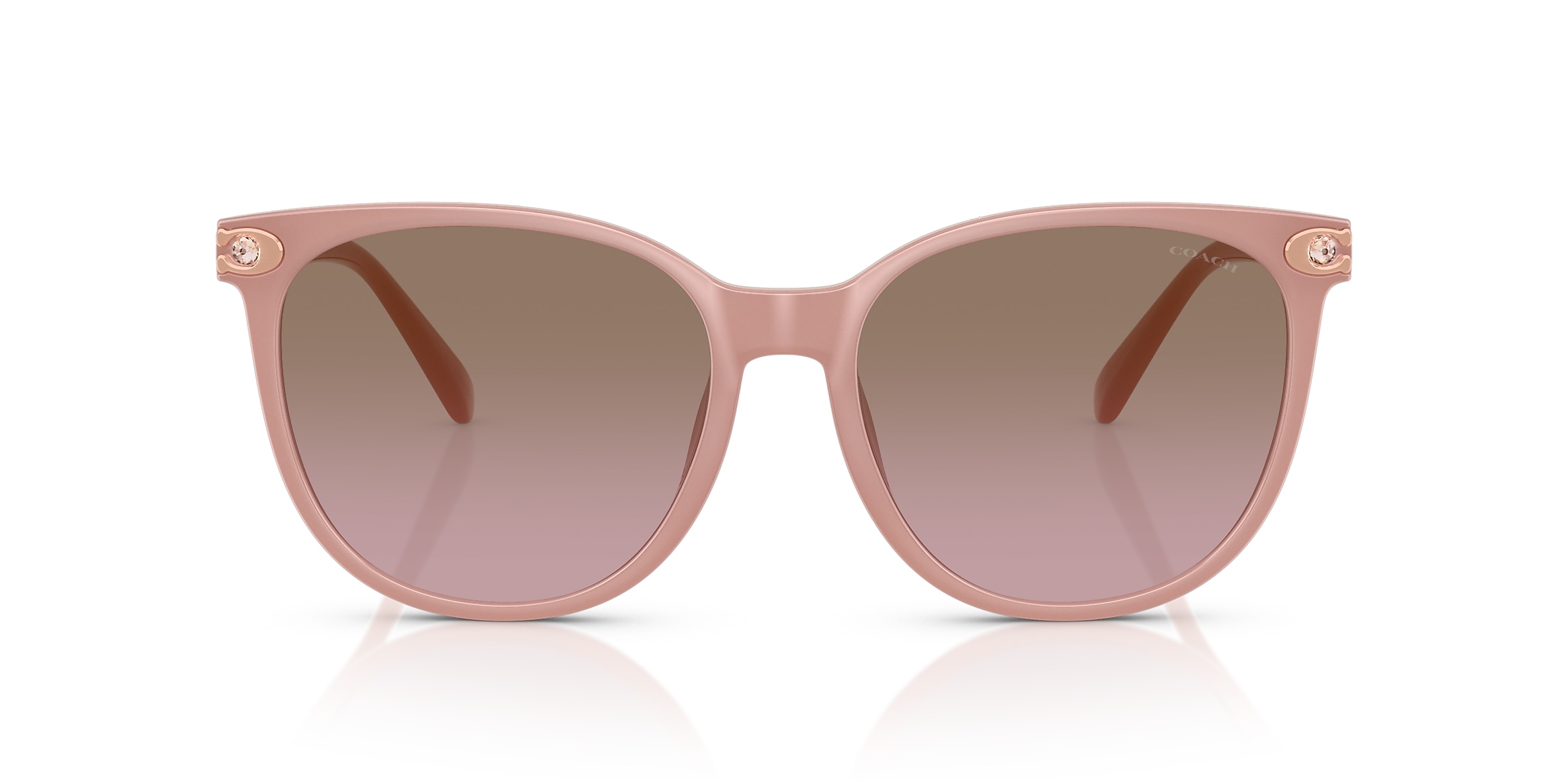 Coach Sunglasses HC8414BD CW428