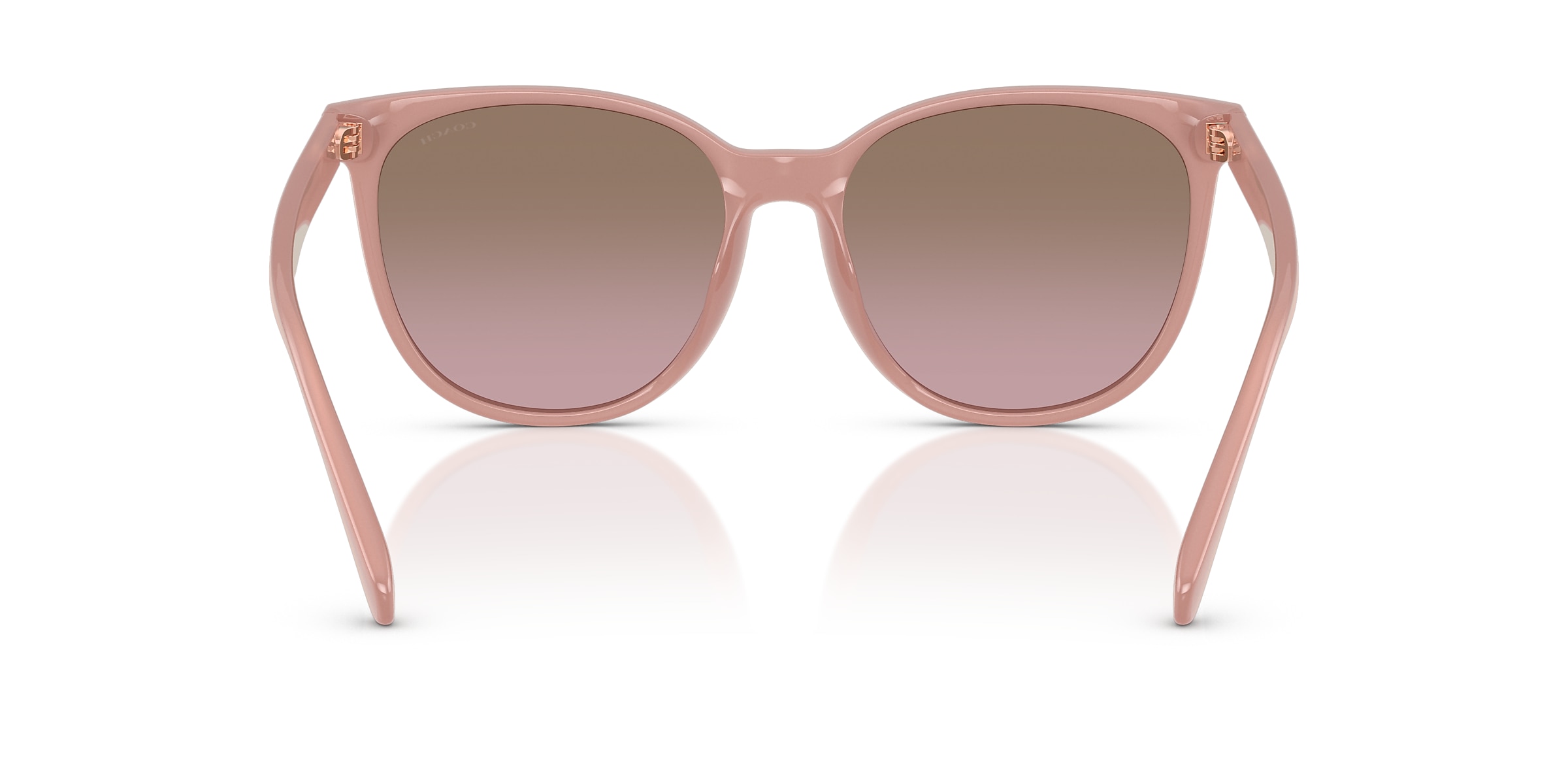 Coach Sunglasses HC8414BD CW428