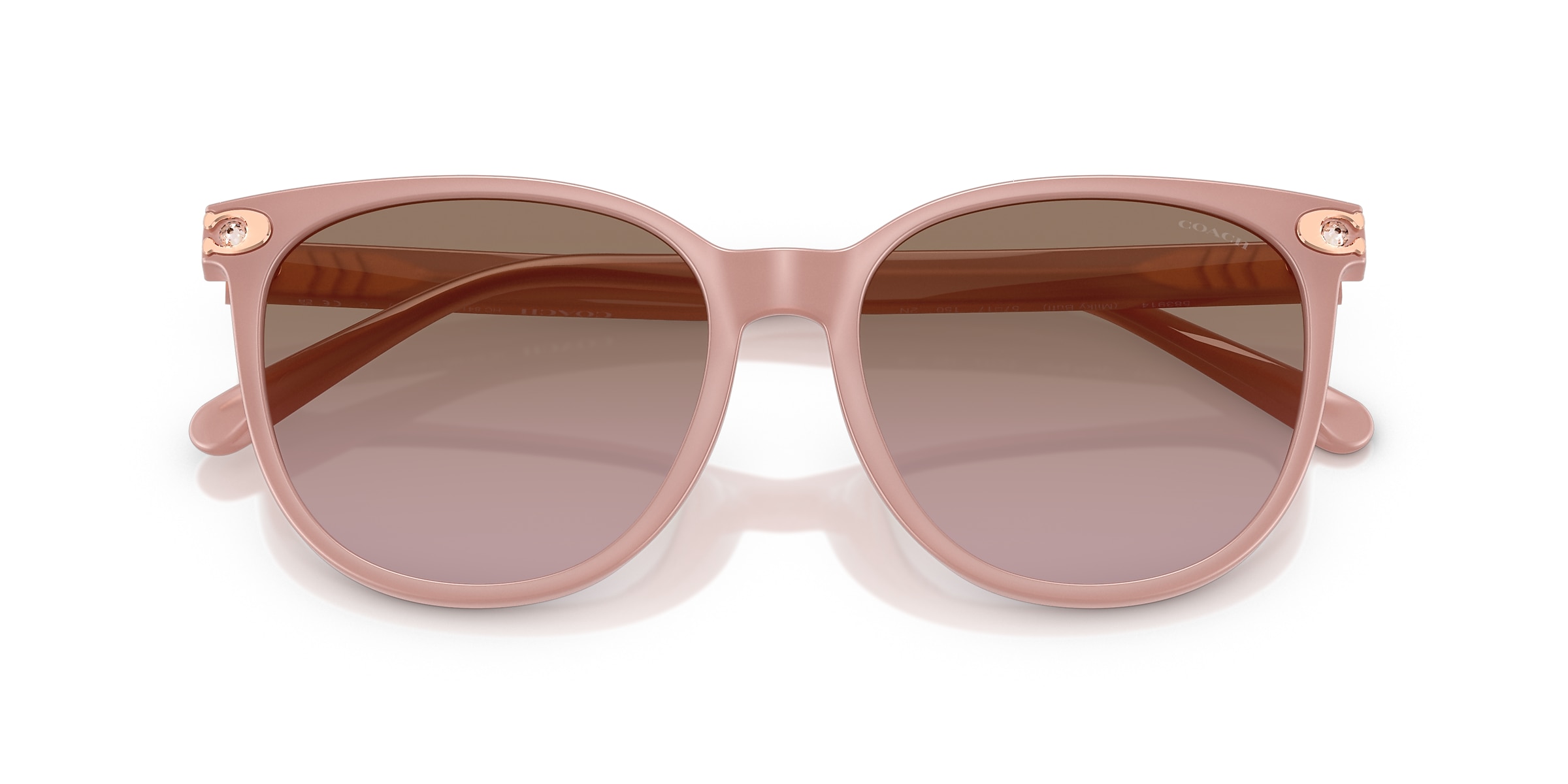 Coach Sunglasses HC8414BD CW428