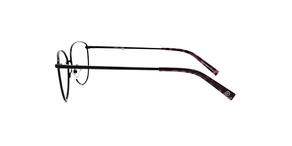 Clearly Glasses ALGONQUIN